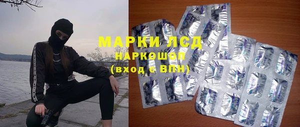 стафф Алзамай