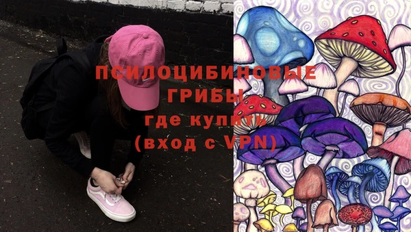 бошки Абинск