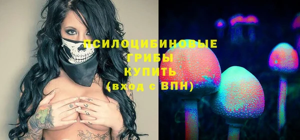 стафф Алзамай