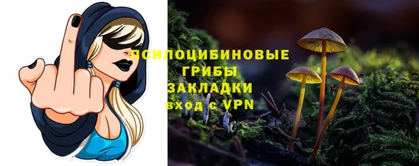 стафф Алзамай