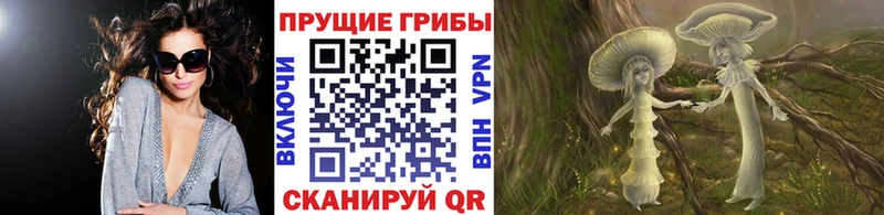 Псилоцибиновые грибы GOLDEN TEACHER  Ангарск 