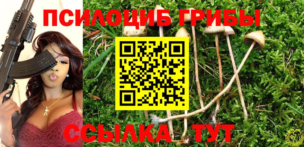Псилоцибиновые грибы мицелий Ангарск
